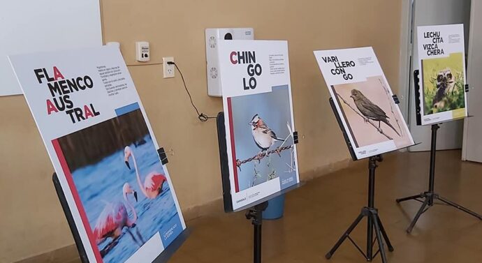 “Aves” visita el Instituto Castoldi de Los Surgentes