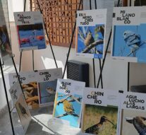 La Muestra “Aves” finaliza su visita en Camilo Aldao