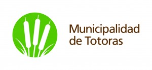 Logo municipalidad - variantes de color y forma