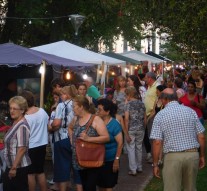 San Jorge: Se llevó a cabo la «9° Edición de la Feria de Artesanos y Manualidades»