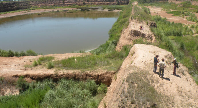 Excavación Paleontológica en Tortugas