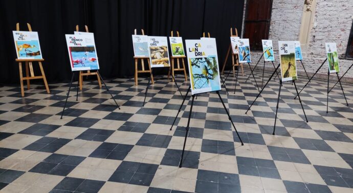 Tortugas sigue exponiendo la Muestra «Aves» en el Salón Cultural