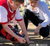«Torneo de Bolitas» en Carrizales