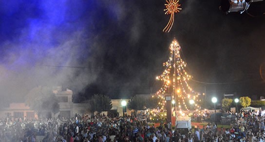 Chovet: Este sábado 14 llega la Fiesta Nacional del Arbolito