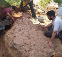 Encontraron un fósil de 40 mil años en Arroyo Seco