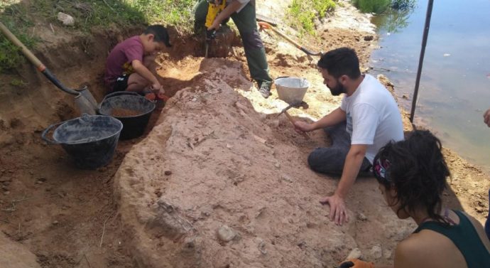 Encontraron un fósil de 40 mil años en Arroyo Seco