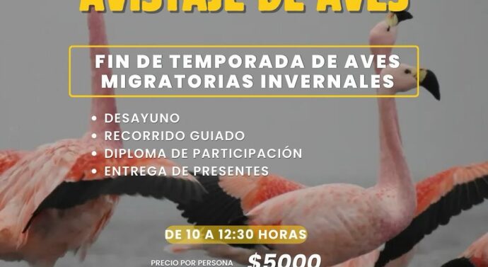 Melincué: Nueva jornada de avistaje