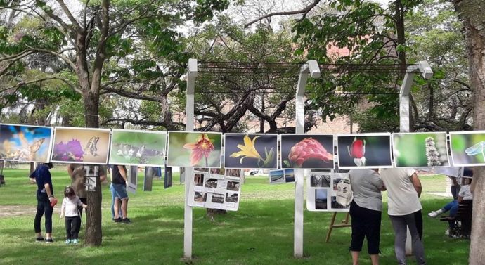 Larrechea celebra su día con distintas propuestas