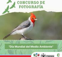 Coronda organiza un Concurso fotográfico por el Día del Medio Ambiente