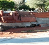 Villa Guillermina: nueva escultura tallada en un tronco con más de 100 años de antigüedad.